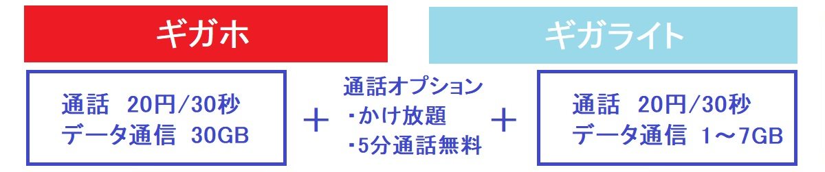 ドコモのハーティ割引 障害者割引 とギガホ ギガライトの選び方 誰かのために役立てば