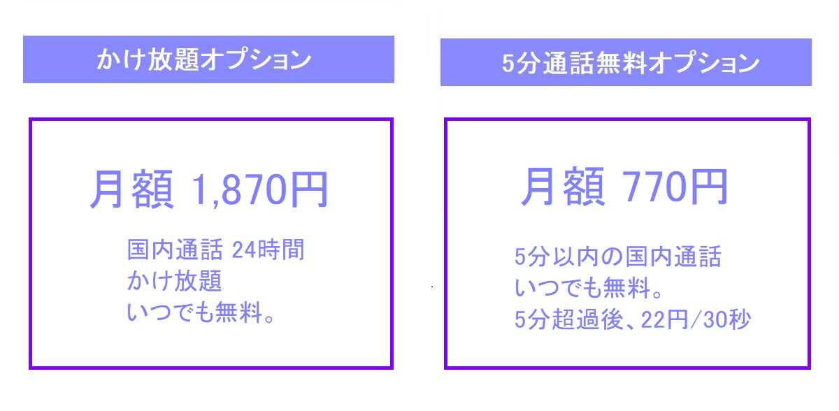 ドコモ料金プラン（音声通話オプション）